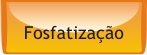 FOSFATIZA��O